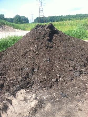 Mushroom Compost